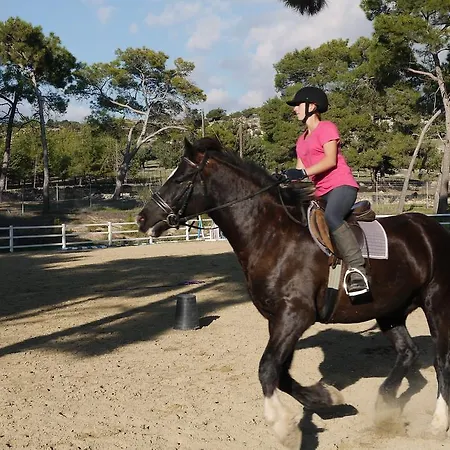 2 Bedroom Kornos With Private Pool And Golf Views, Aphrodite Hills クークリア